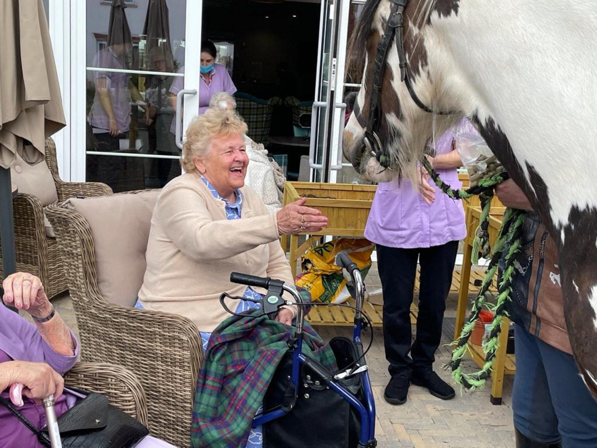 Creatures great and small visit Quorn care home